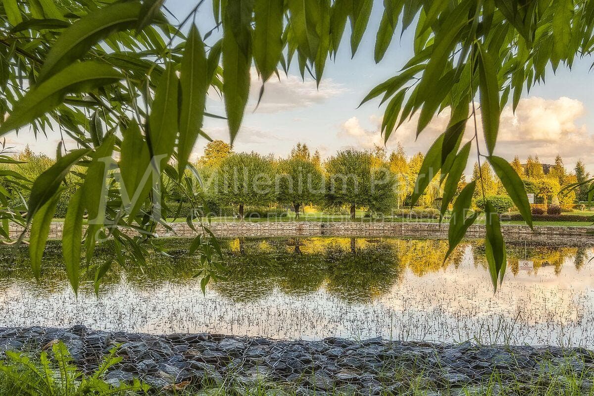Участок 17 сот. — Millenium Park, фотография 5