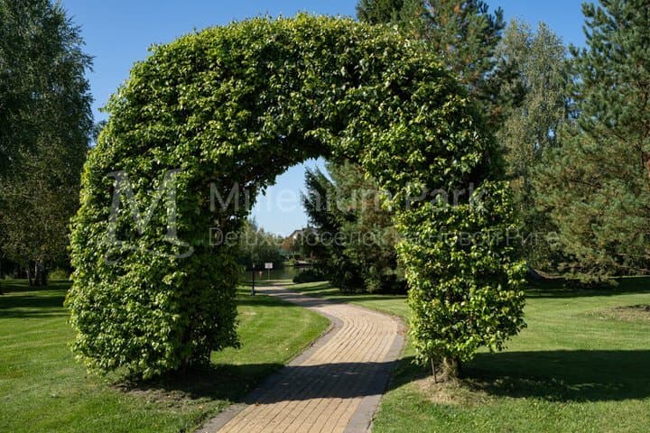 Участок 17 сот. — Millenium Park, фотография 4